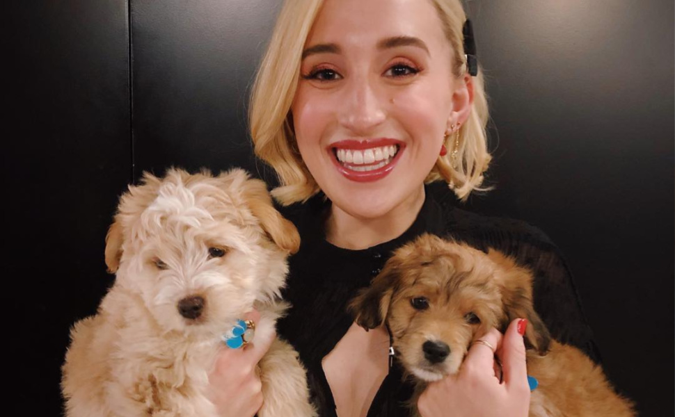 Harley Quinn and Puppies