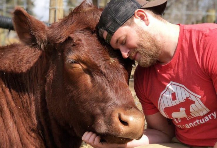 Dan from Barn Sanctuary