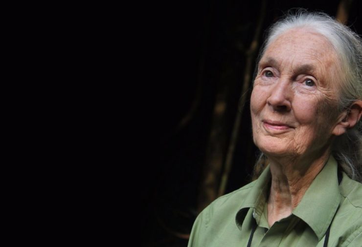 Jane Goodall