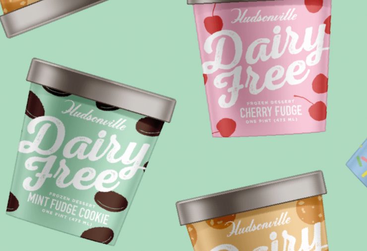 Hudsonville Vegan Ice Cream