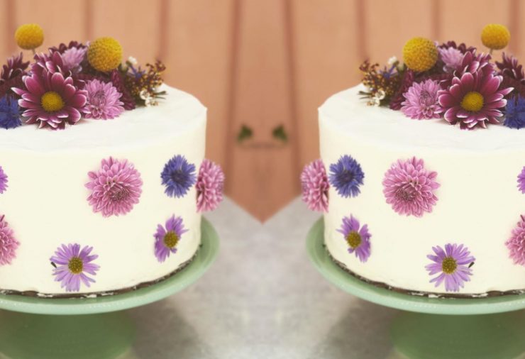 Just What I Kneaded Cake