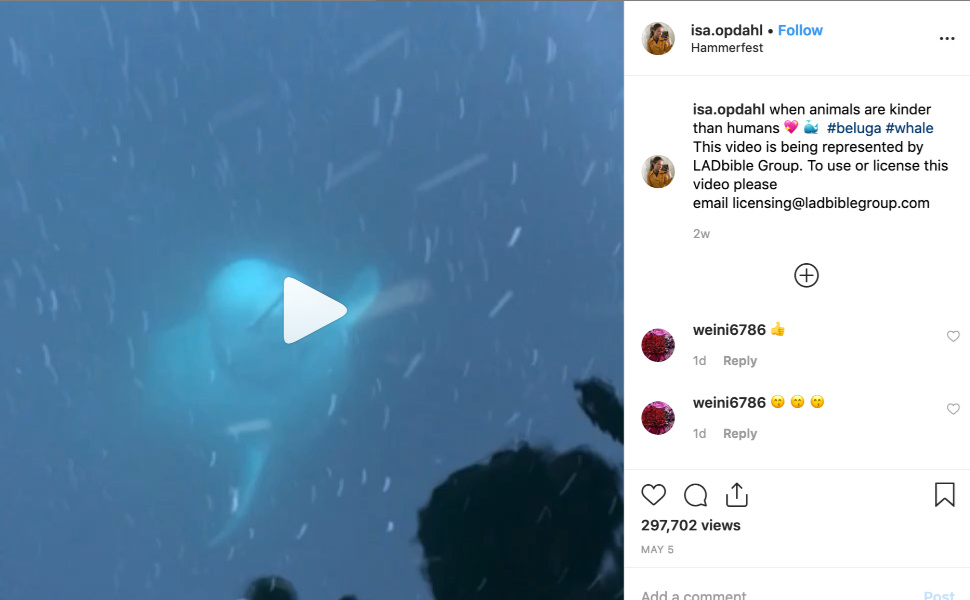 Whale Post
