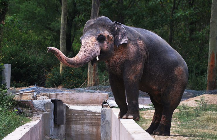 Photo credit AFP Global